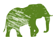 Wildlife