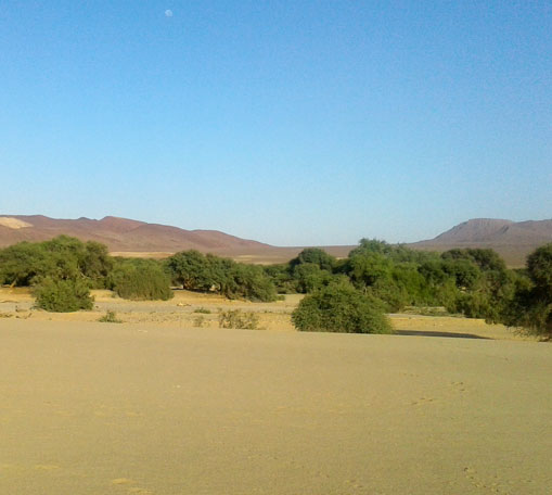 Beautiful scenery