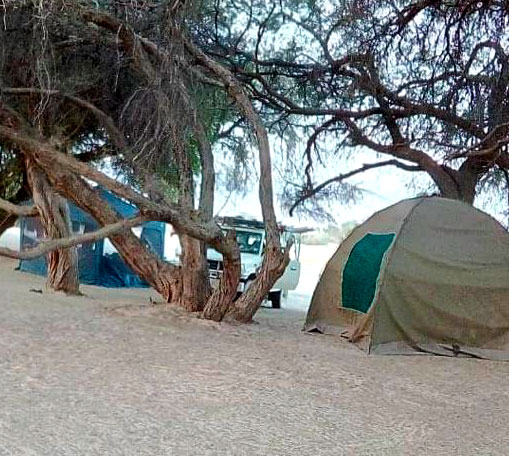 Tented camping